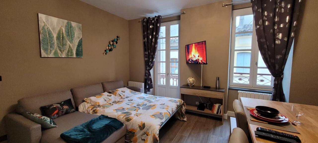 Appartement Le Moulin Vert Carcassonne Ngoại thất bức ảnh